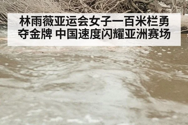 林雨薇亚运会女子一百米栏勇夺金牌 中国速度闪耀亚洲赛场